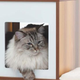 Image for article titled The Best Home Gifts to Keep Every Household Warm and Cozy